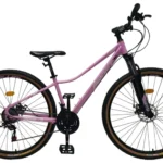 Bicicleta 29" Dallas X3 8Vel Mecánica - PROFIT