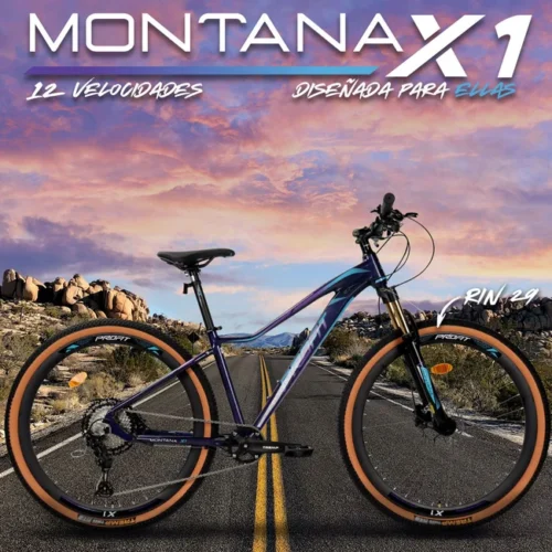 Bicicleta 29P Montana X1 12 Vel Profit