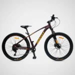 Bicicleta 29P Jasper RX 10Vel - PROFIT