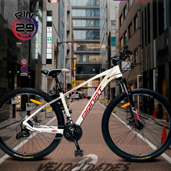 Bicicleta 29P Jasper X1.1 9Vel - PROFIT-2 Bicicleta 29P Jasper X1.1 9Vel - PROFIT