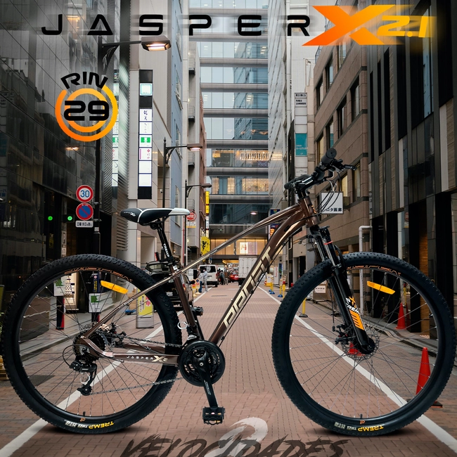 Bicicleta 29P Jasper X2.1 8Vel - PROFIT