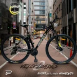 Bicicleta 29P Jasper X2.2 (Aluminio) Colores Profit