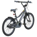 Bicicleta Infantil Niño 20" Roc - Gw