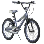 Bicicleta Infantil Niño 20" Roc - Gw