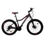 Bicicleta Montana X20 Max 9 Vel Profit