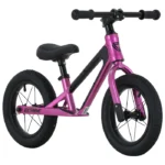 Bicicleta Pushbike Niño:Niña 12P Extreme Magnesio Gw-1 Bicicleta Pushbike Niño/Niña 12P Extreme Magnesio Gw