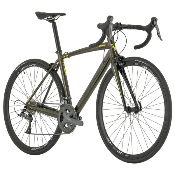 Bicicleta Ruta Flamma Claris 2x8Vel - GW