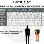 Bicicleta Ruta Flamma R2 Disco Hidráulico Shimano Tiagra 10Vel. GW