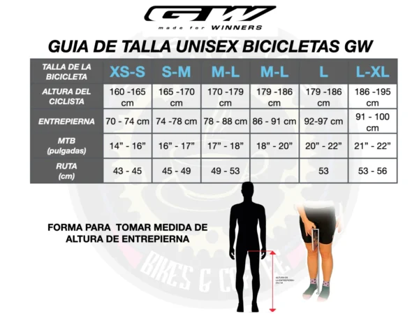 Bicicleta Ruta Flamma R2 Disco Hidráulico Shimano Tiagra 10Vel. GW